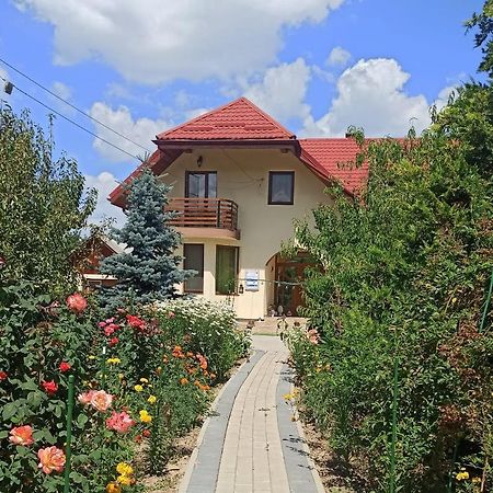 Agropensiunea Florina-Maria Branistea  Zewnętrze zdjęcie