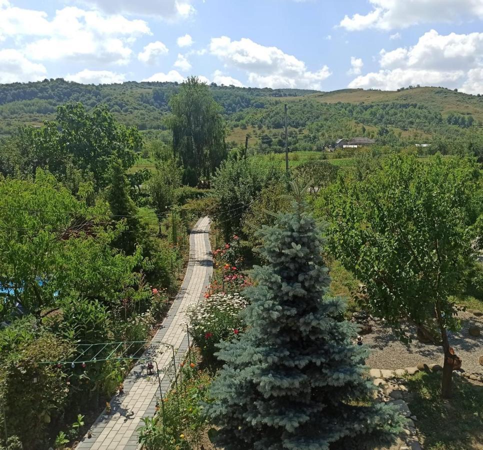 Agropensiunea Florina-Maria Branistea  Zewnętrze zdjęcie